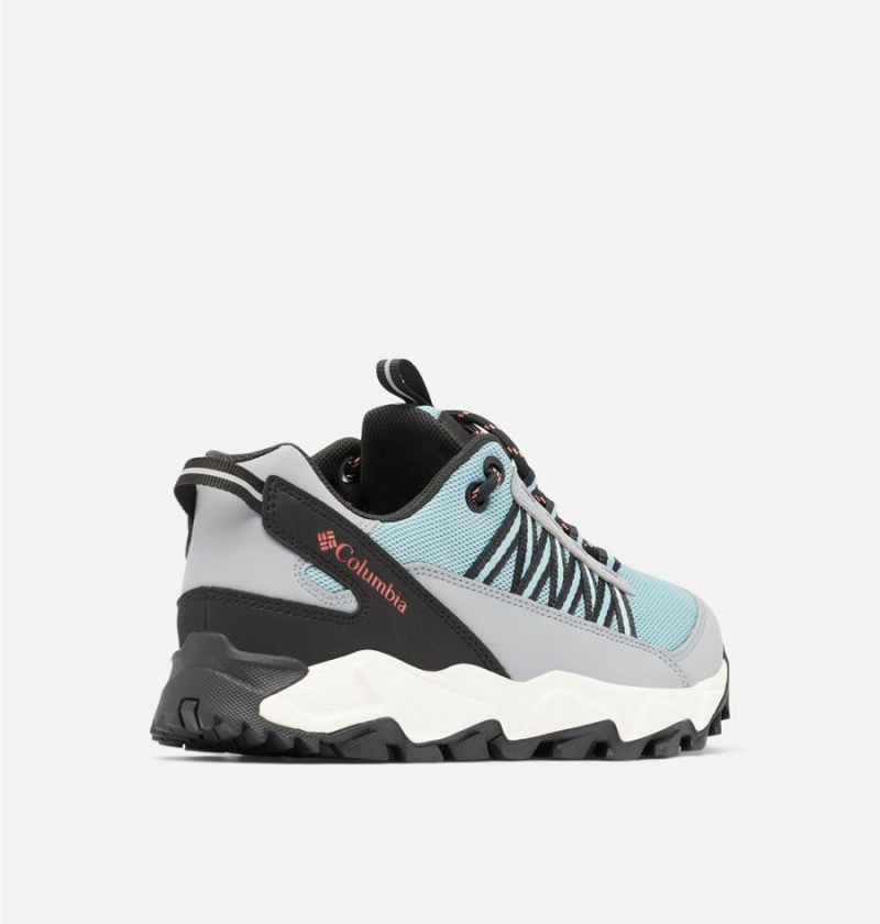 Columbia Flow Fremont Women's Sneakers Blue | LOWMNJ-043