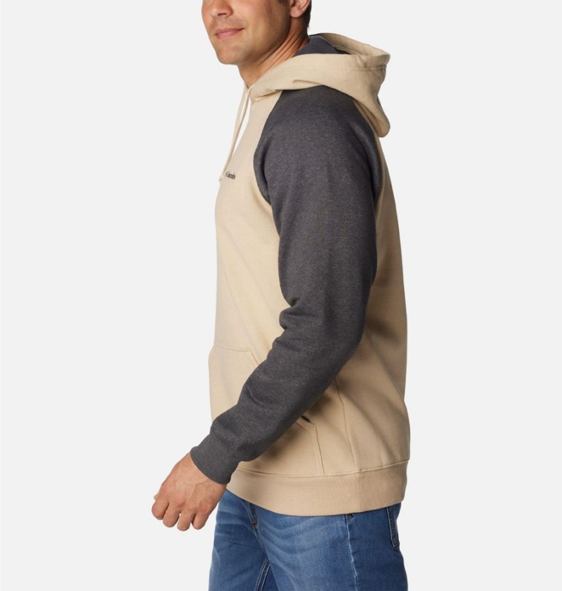 Columbia Hart Mountain II Men's Hoodie Beige | QVWOTB-214