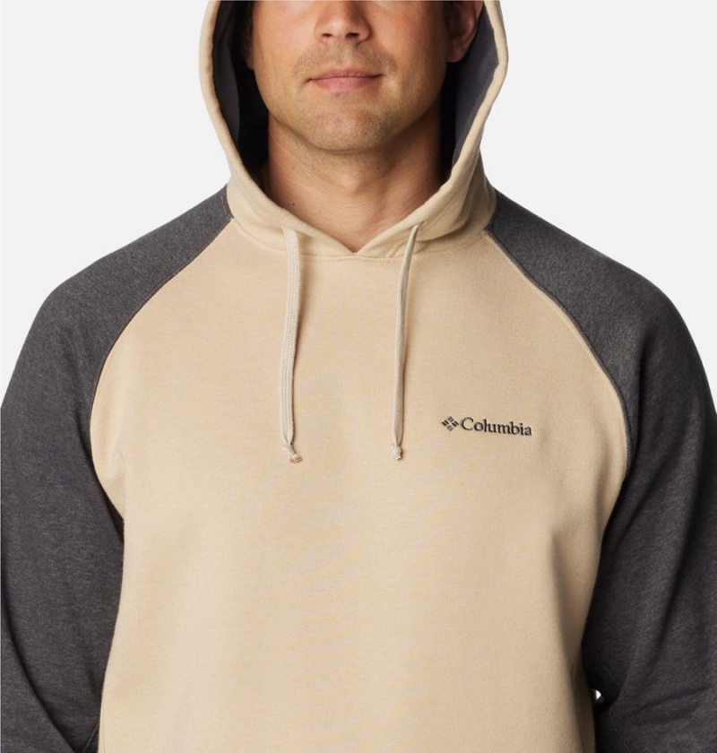Columbia Hart Mountain II Men's Hoodie Beige | QVWOTB-214