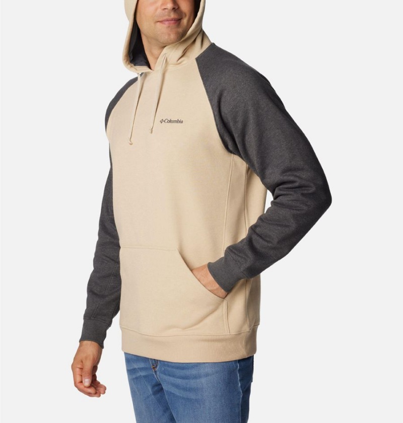 Columbia Hart Mountain II Men's Hoodie Beige | QVWOTB-214