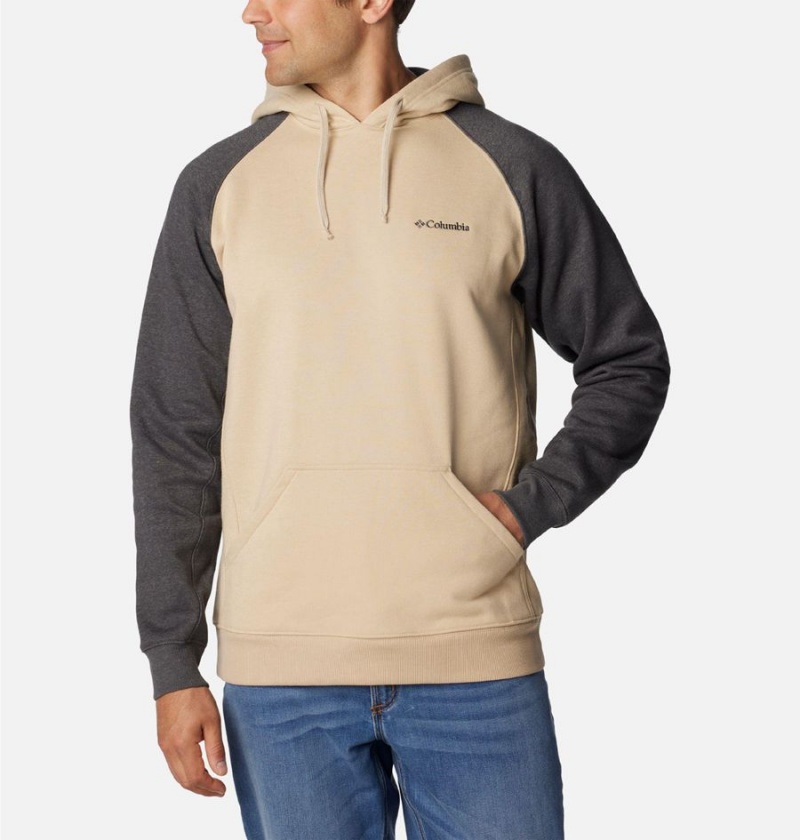 Columbia Hart Mountain II Men\'s Hoodie Beige | QVWOTB-214