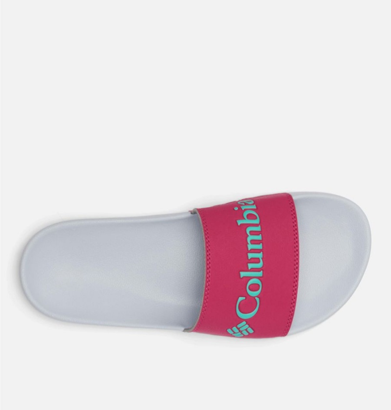 Columbia Hood River Slide Women's Sandals Pink | RDCKOA-412