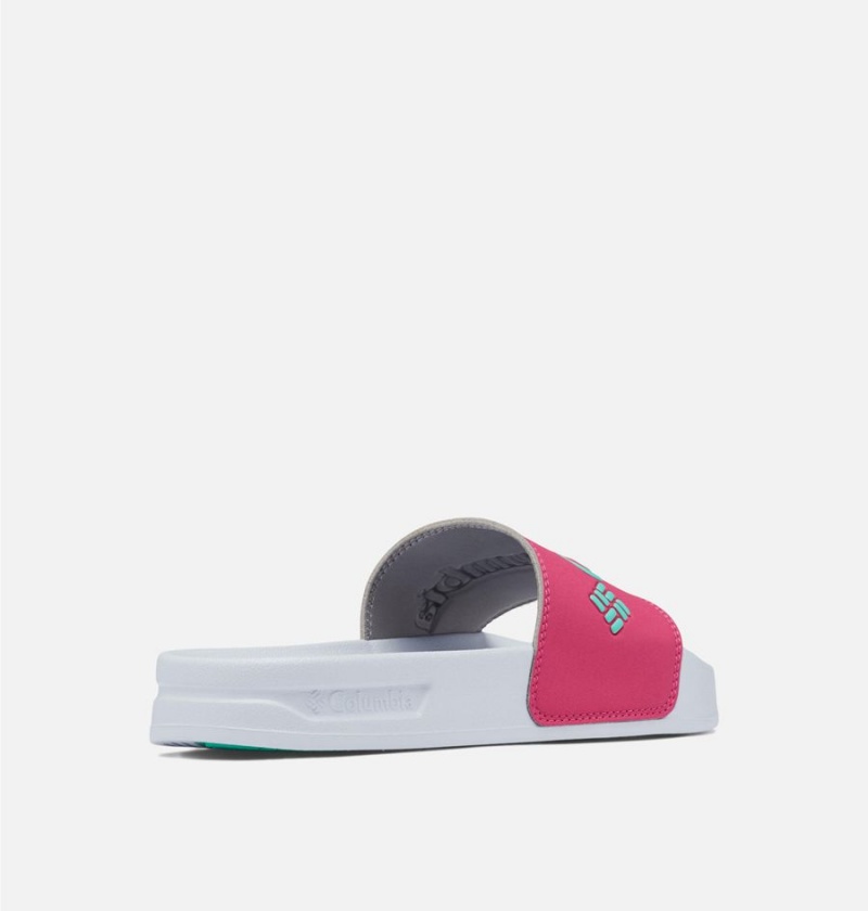 Columbia Hood River Slide Women's Sandals Pink | RDCKOA-412