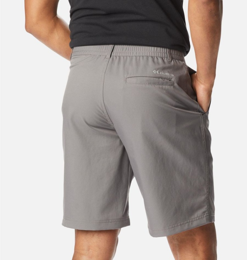 Columbia Iron Mountain Trail Men's Shorts Grey | ZRFVPL-018