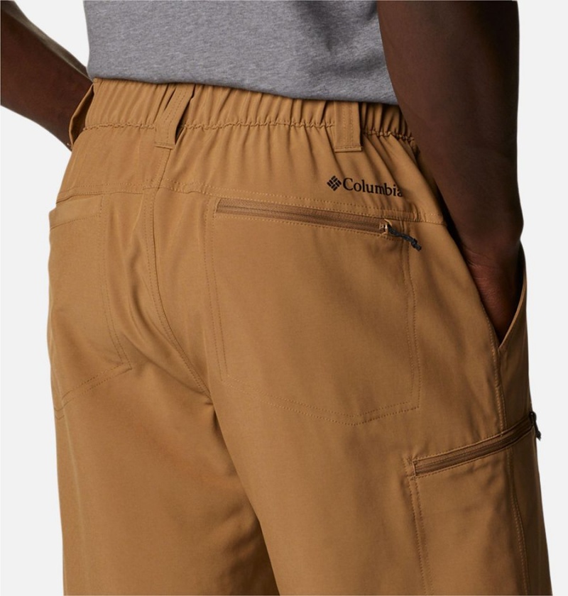 Columbia Kenvile Lake Men's Shorts Brown | RIBAQZ-645