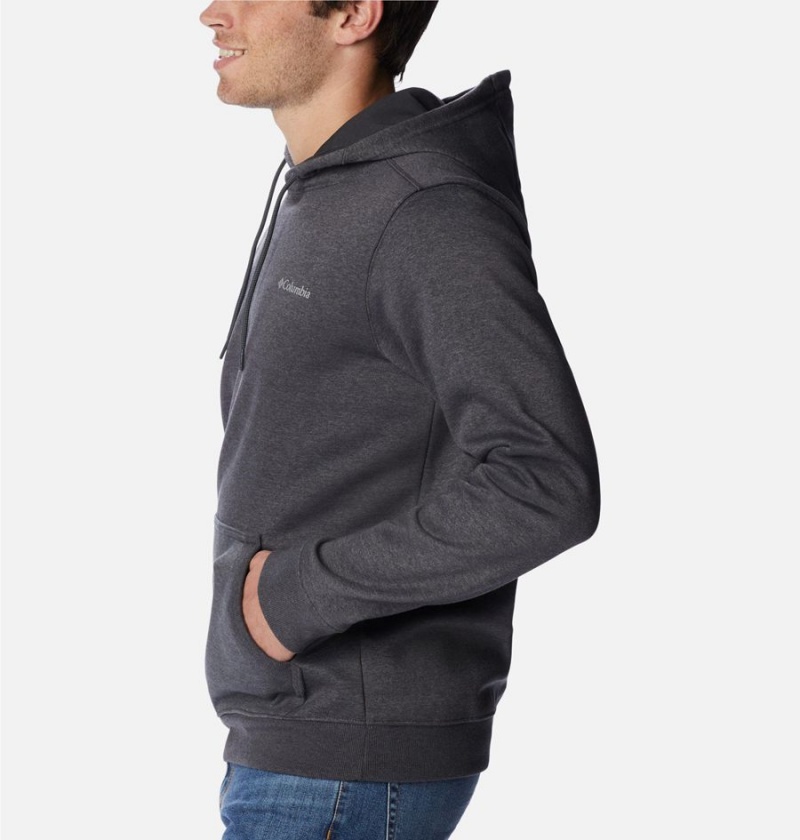 Columbia Keyhole Peak Logo Men's Hoodie Grey | AKNWLZ-308