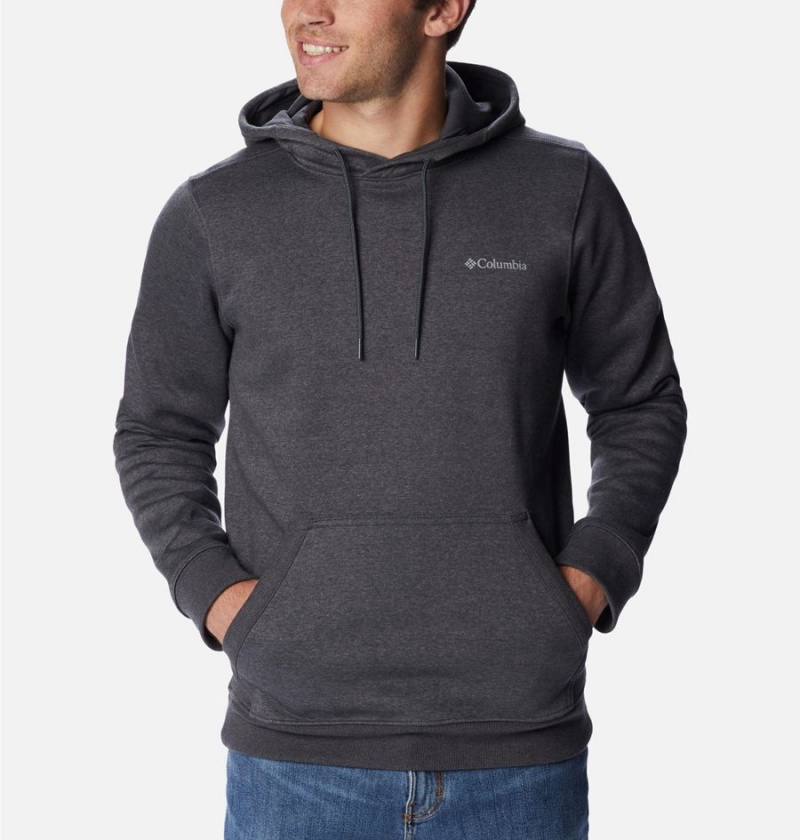 Columbia Keyhole Peak Logo Men's Hoodie Grey | AKNWLZ-308