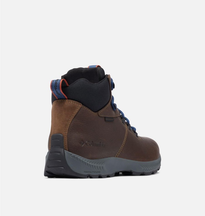 Columbia Landroamer Explorer Waterproof Boot Men's Hiking Shoes Brown | UOKPNF-327