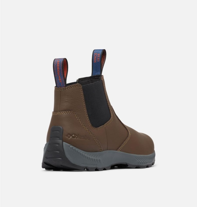 Columbia Landroamer Scout Men's Boots Brown | YENTHB-490