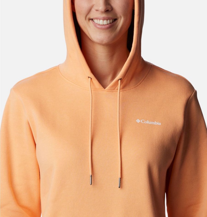 Columbia Logo II Women's Hoodie Orange | CKEQUZ-857