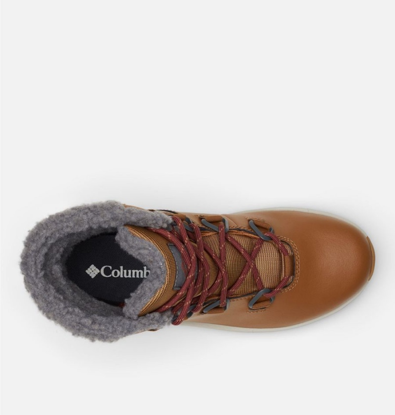 Columbia Moritza Women's Boots Brown | WUXVML-827