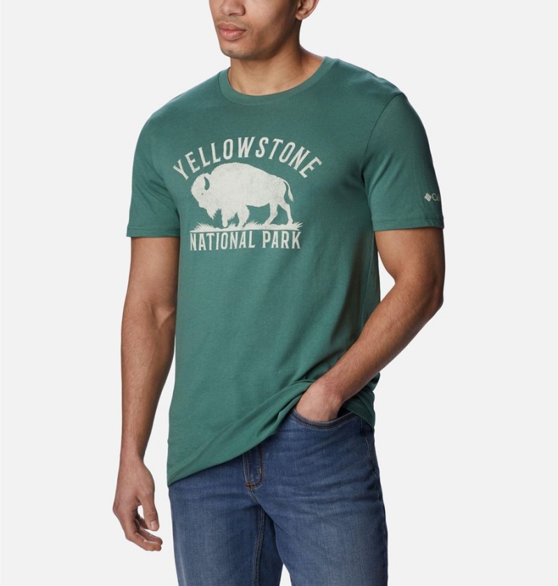 Columbia NP Yellowstone Graphic Men's T-Shirt Green | DCHQBF-850