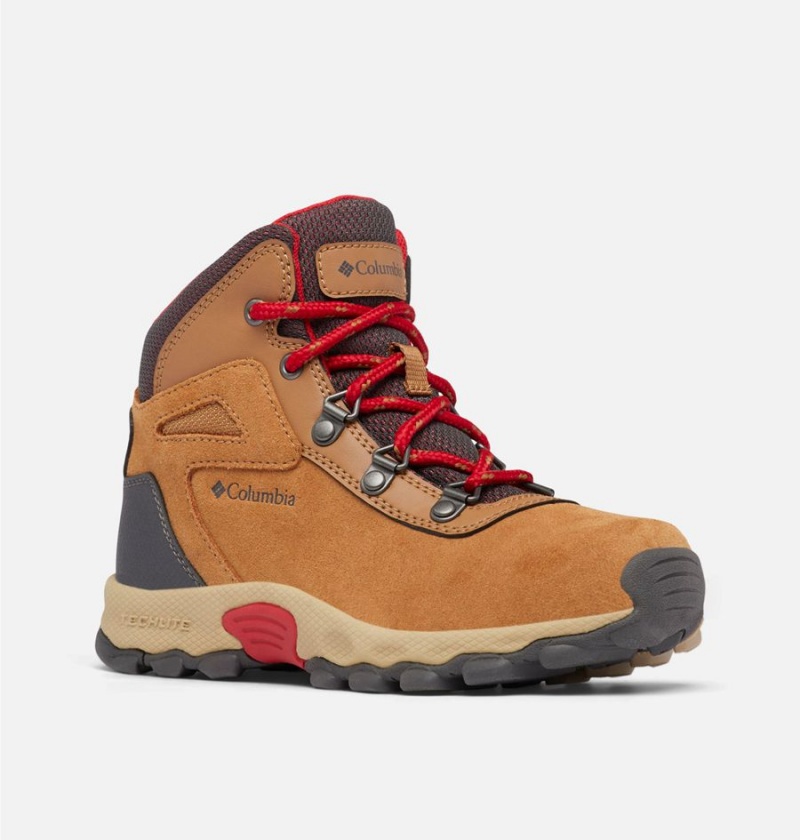 Columbia Newton Ridge Amped Kids' Boots Brown | BRESWH-723