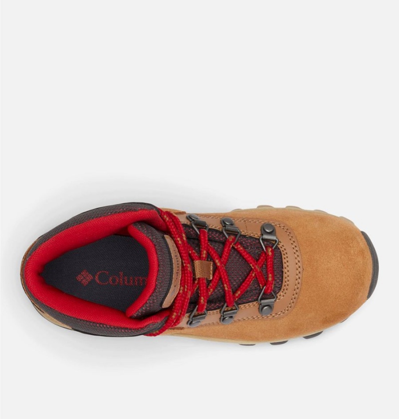 Columbia Newton Ridge Amped Kids' Boots Brown | BRESWH-723