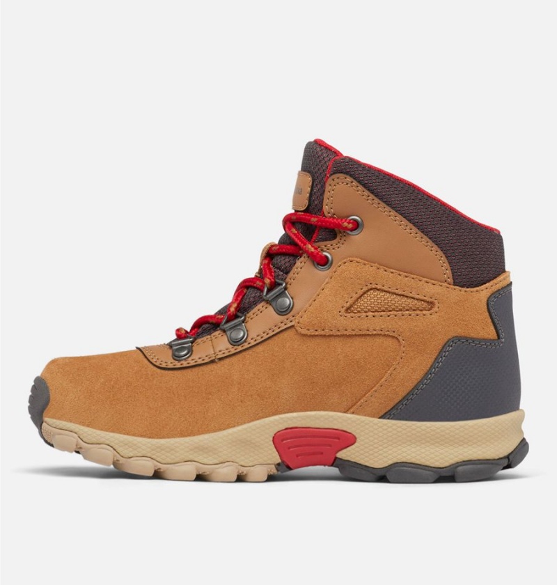 Columbia Newton Ridge Amped Kids' Boots Brown | BRESWH-723