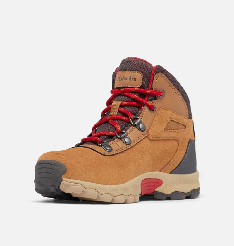 Columbia Newton Ridge Amped Kids' Boots Brown | BRESWH-723