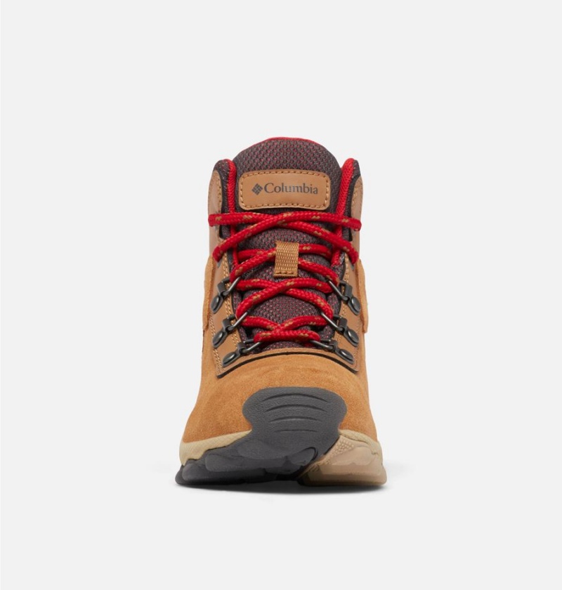 Columbia Newton Ridge Amped Kids' Boots Brown | BRESWH-723