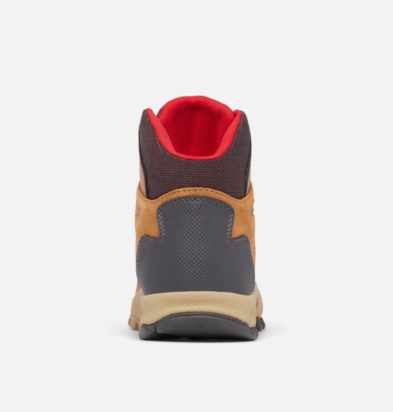 Columbia Newton Ridge Amped Kids' Boots Brown | BRESWH-723