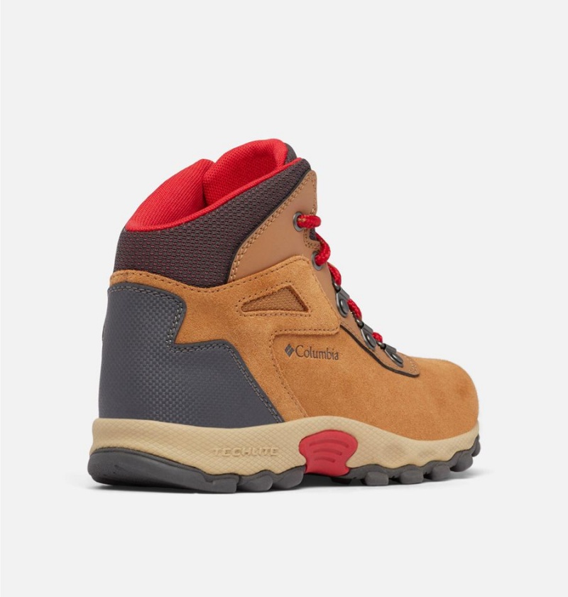 Columbia Newton Ridge Amped Kids' Boots Brown | BRESWH-723