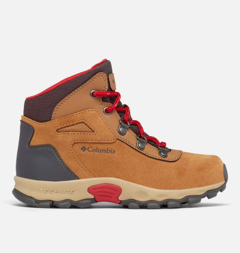 Columbia Newton Ridge Amped Kids\' Boots Brown | BRESWH-723