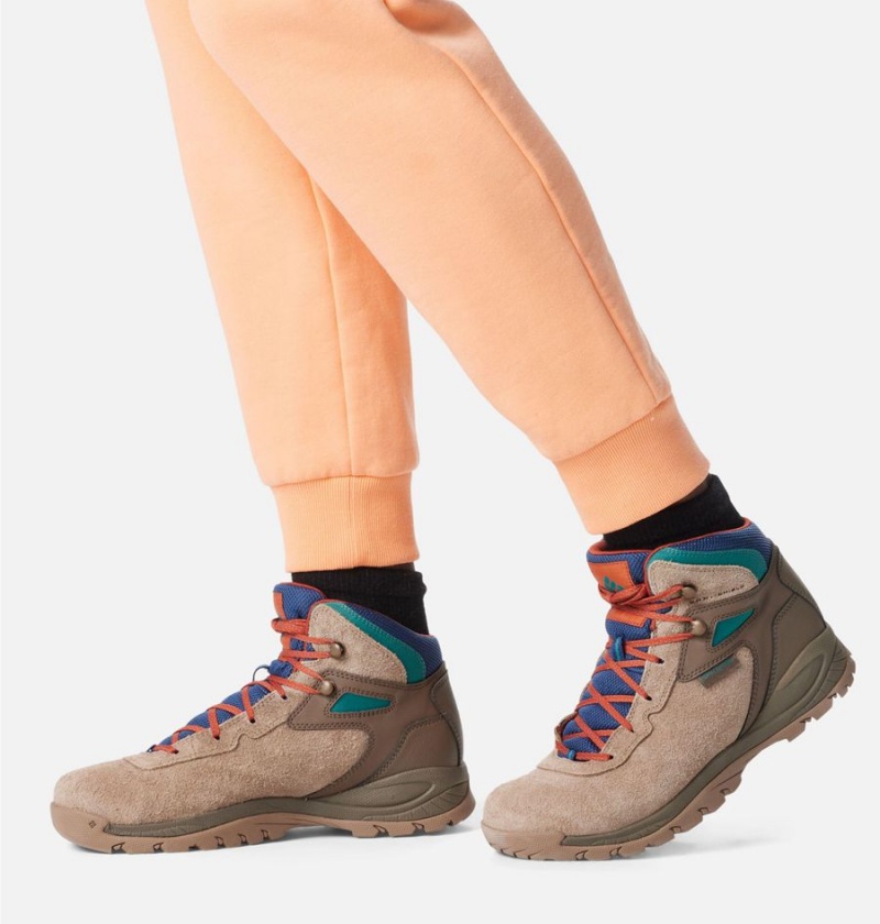 Columbia Newton Ridge BC Boot Men's Hiking Shoes Brown | HFMJPB-835