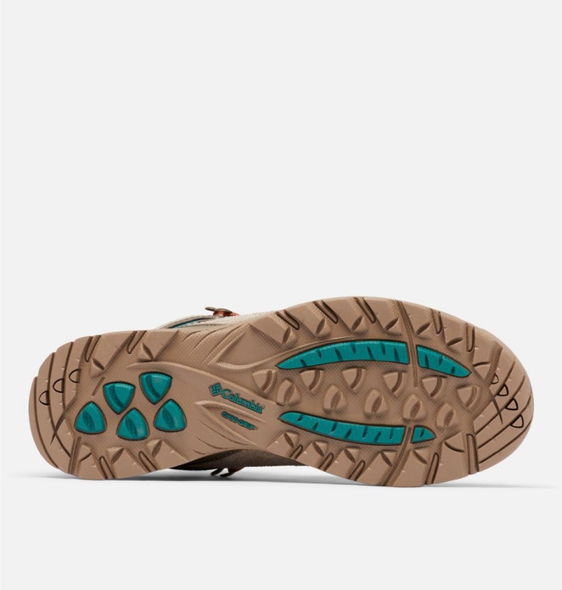 Columbia Newton Ridge BC Boot Men's Hiking Shoes Brown | HFMJPB-835