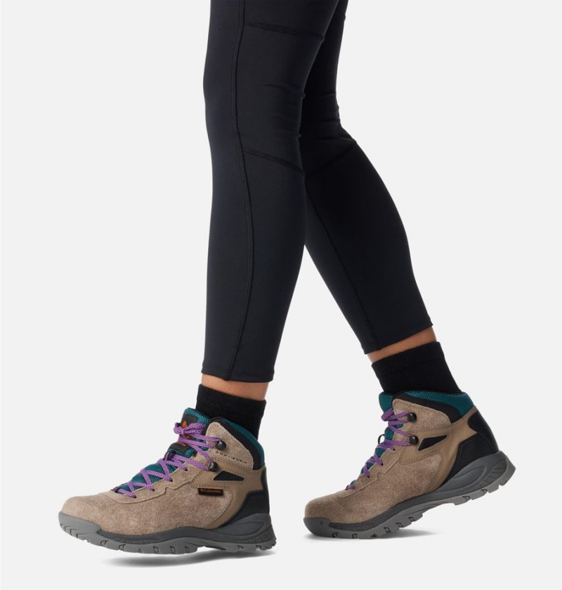 Columbia Newton Ridge BC Boot Women's Hiking Shoes Brown | DVSJIB-340