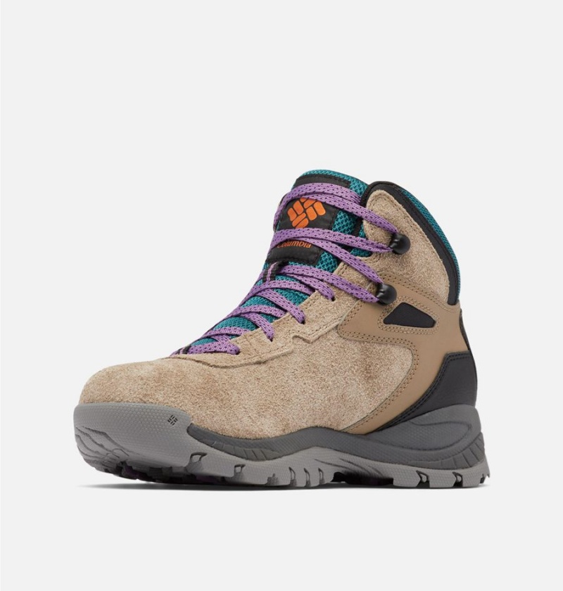 Columbia Newton Ridge BC Boot Women's Hiking Shoes Brown | DVSJIB-340