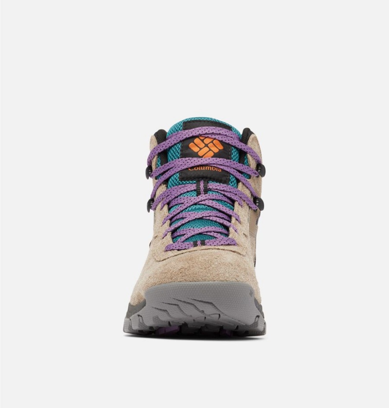 Columbia Newton Ridge BC Boot Women's Hiking Shoes Brown | DVSJIB-340