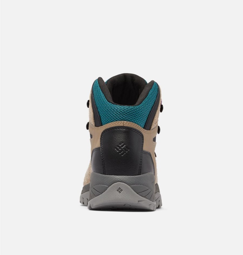 Columbia Newton Ridge BC Boot Women's Hiking Shoes Brown | DVSJIB-340