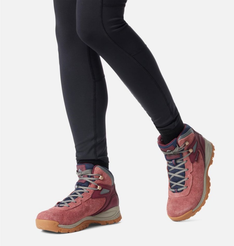 Columbia Newton Ridge BC Boot Women's Hiking Shoes Coral | FPAIDB-653