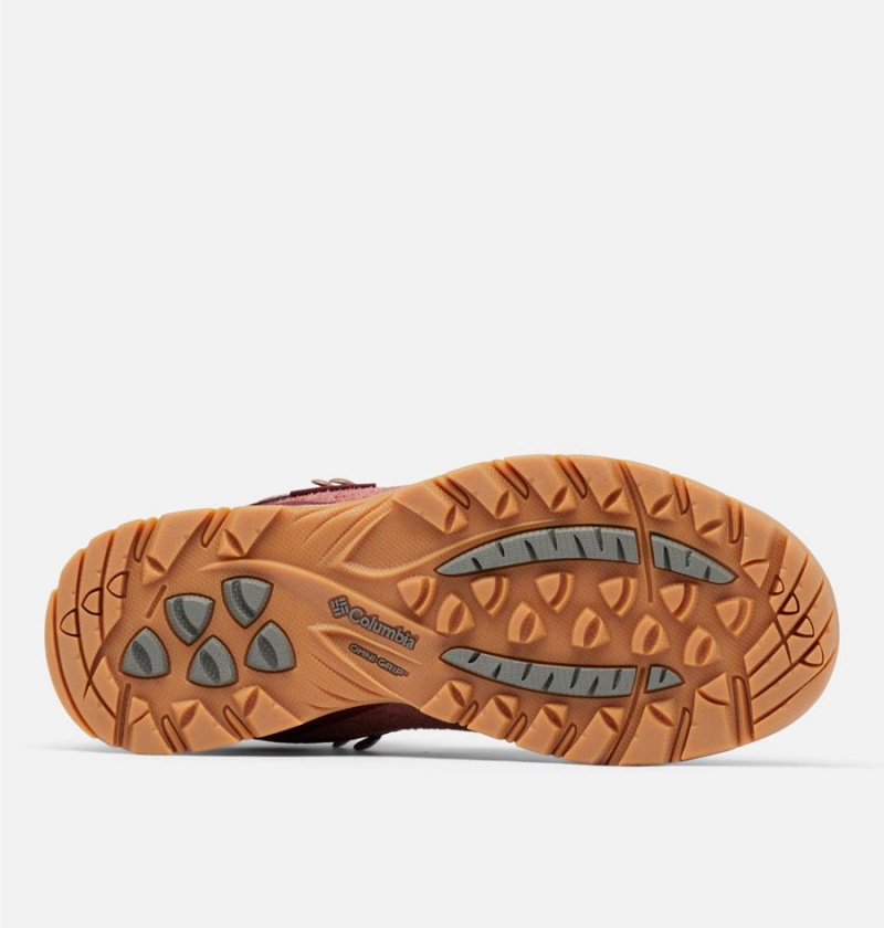 Columbia Newton Ridge BC Boot Women's Hiking Shoes Coral | FPAIDB-653