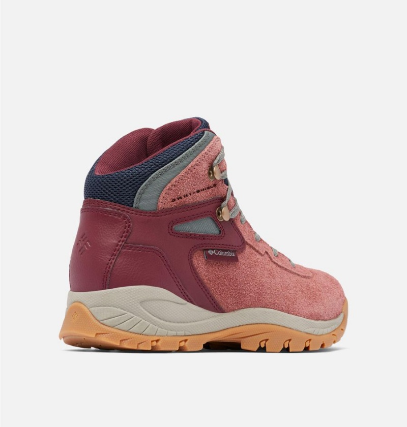 Columbia Newton Ridge BC Boot Women's Hiking Shoes Coral | FPAIDB-653