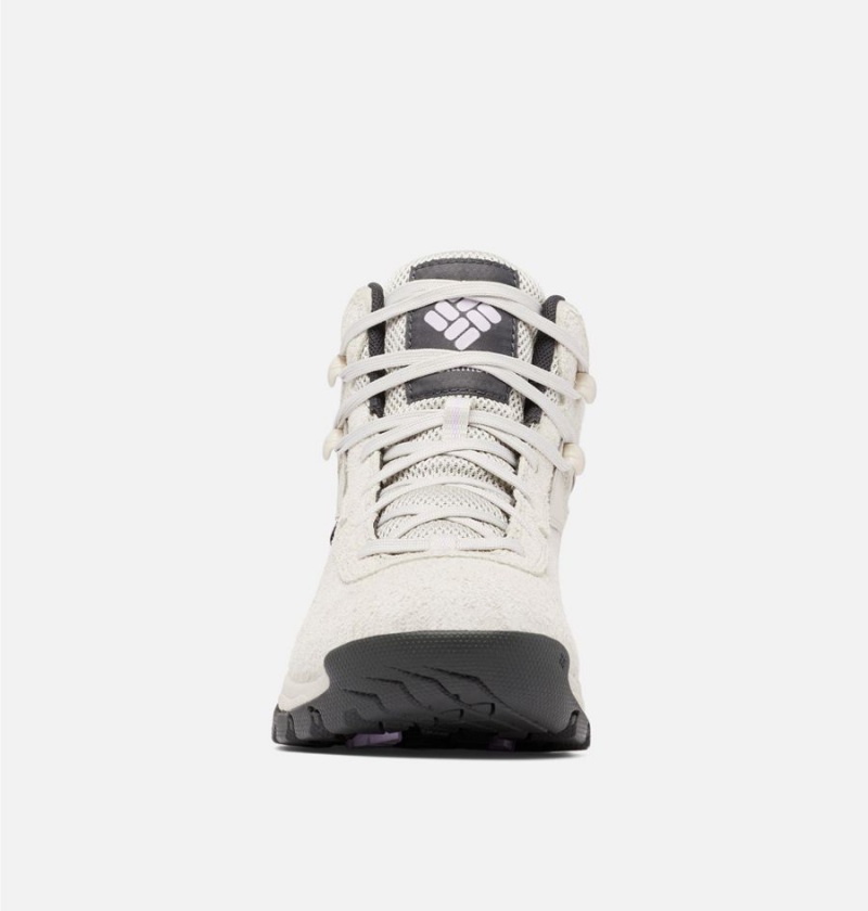 Columbia Newton Ridge BC Boot Women's Hiking Shoes White | ILCWDX-028