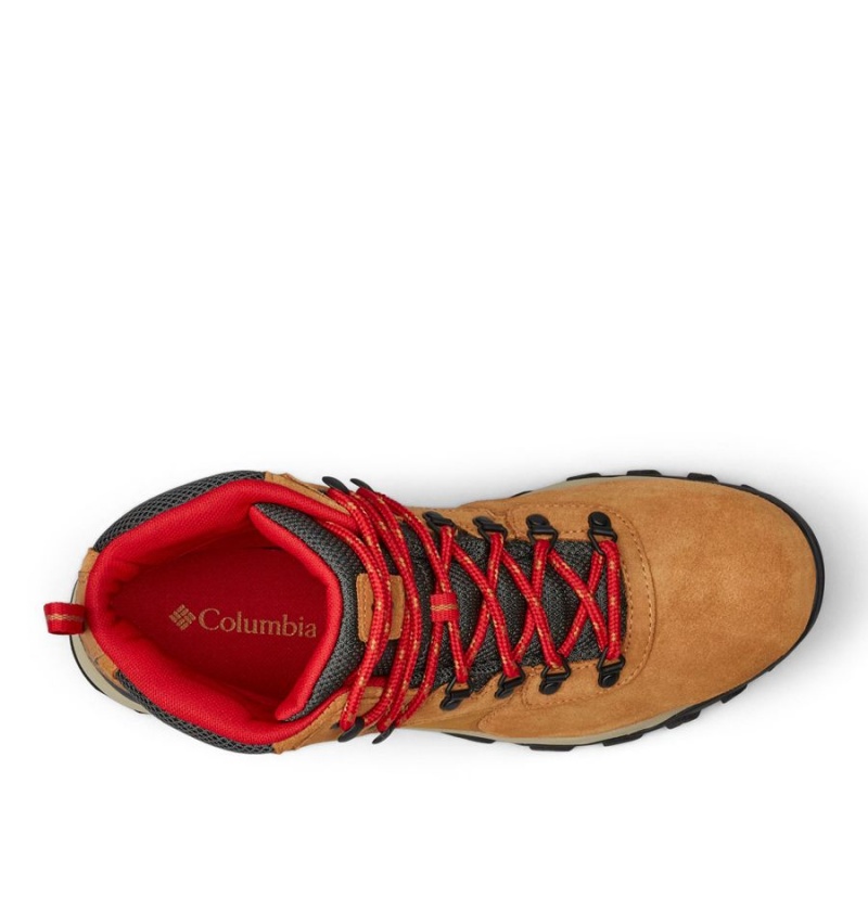 Columbia Newton Ridge Plus II Suede Waterproof Boot Men's Hiking Shoes Brown | WVTULD-019