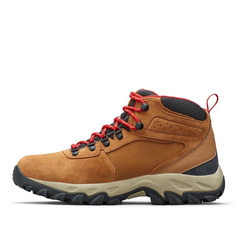 Columbia Newton Ridge Plus II Suede Waterproof Boot Men's Hiking Shoes Brown | WVTULD-019