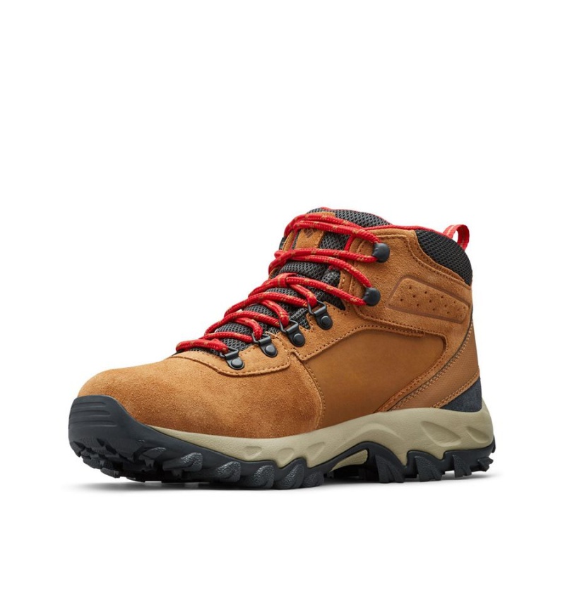 Columbia Newton Ridge Plus II Suede Waterproof Boot Men's Hiking Shoes Brown | WVTULD-019