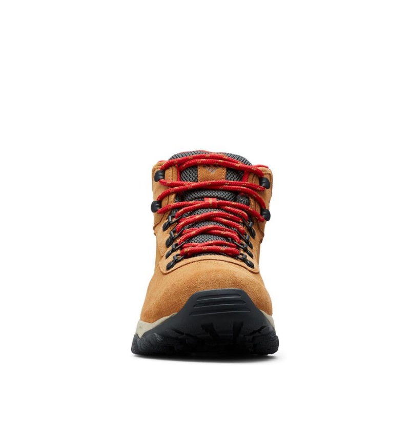 Columbia Newton Ridge Plus II Suede Waterproof Boot Men's Hiking Shoes Brown | WVTULD-019