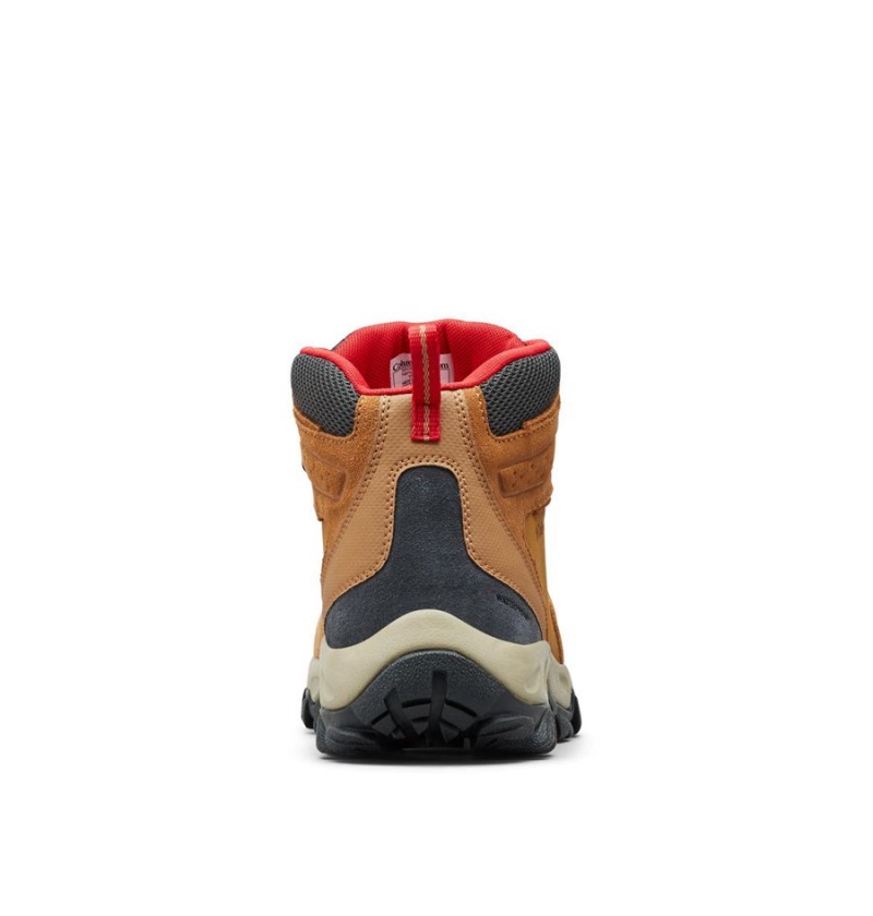 Columbia Newton Ridge Plus II Suede Waterproof Boot Men's Hiking Shoes Brown | WVTULD-019