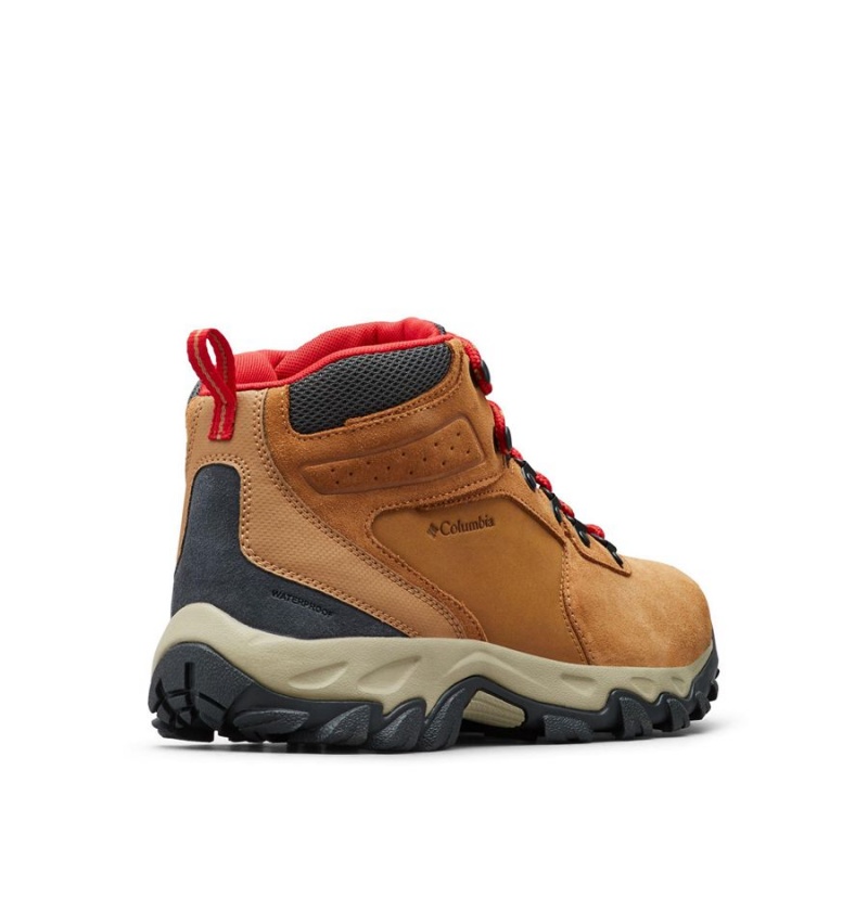 Columbia Newton Ridge Plus II Suede Waterproof Boot Men's Hiking Shoes Brown | WVTULD-019
