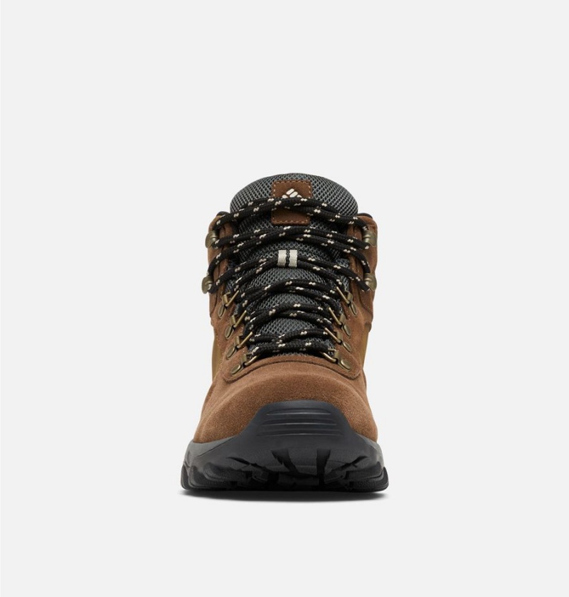 Columbia Newton Ridge Plus II Suede Waterproof Boot Men's Hiking Shoes Brown | LMYDIZ-731