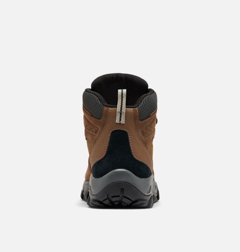 Columbia Newton Ridge Plus II Suede Waterproof Boot Men's Hiking Shoes Brown | LMYDIZ-731
