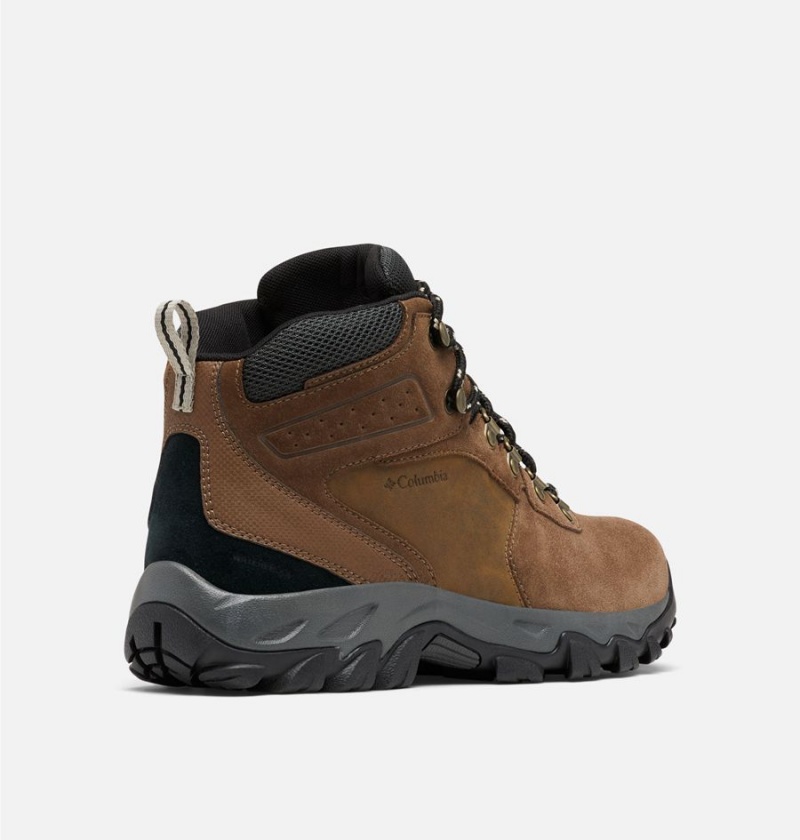 Columbia Newton Ridge Plus II Suede Waterproof Boot Men's Hiking Shoes Brown | LMYDIZ-731