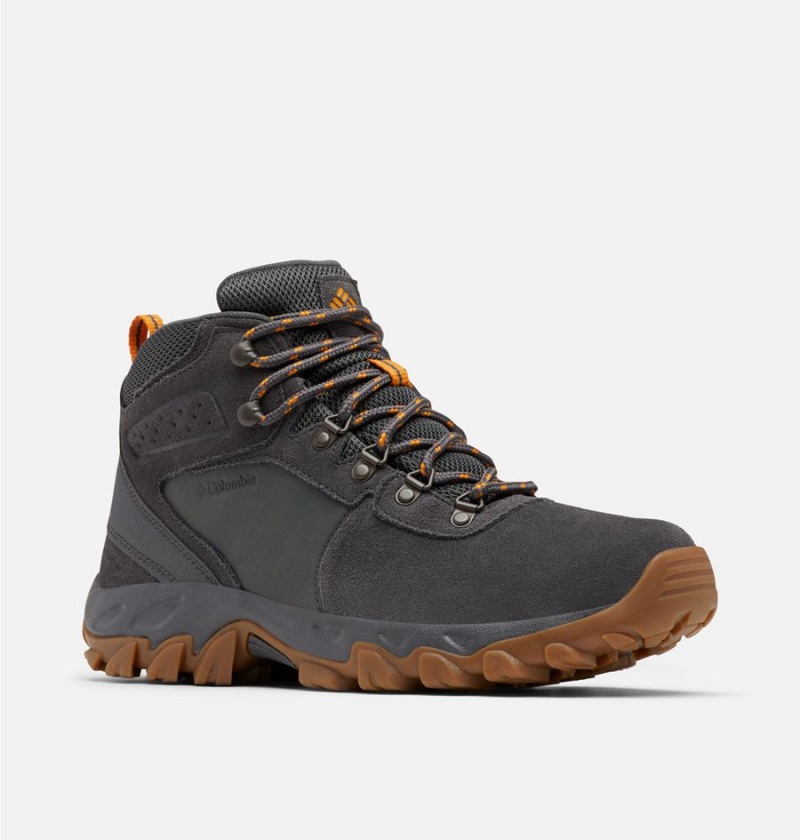 Columbia Newton Ridge Plus II Suede Waterproof Boot Men's Hiking Shoes Grey | XKVQGI-304