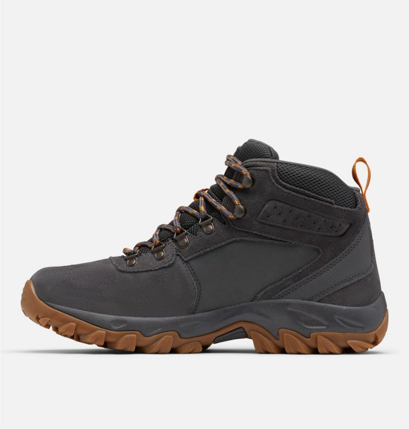 Columbia Newton Ridge Plus II Suede Waterproof Boot Men's Hiking Shoes Grey | XKVQGI-304