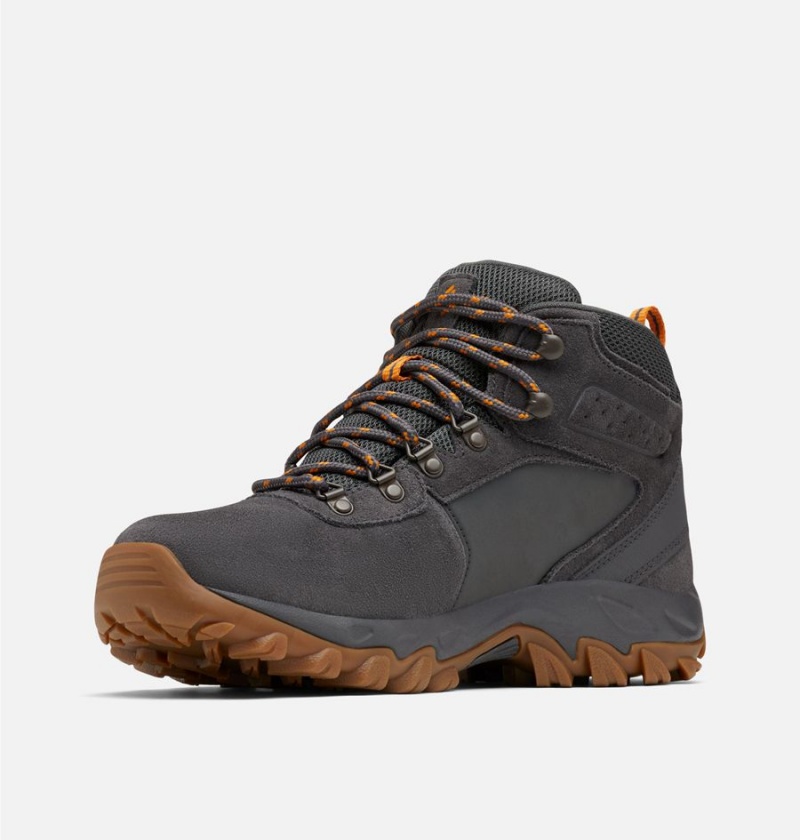 Columbia Newton Ridge Plus II Suede Waterproof Boot Men's Hiking Shoes Grey | XKVQGI-304