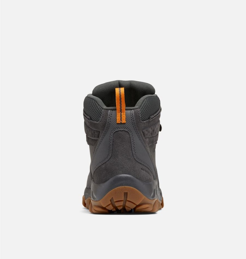 Columbia Newton Ridge Plus II Suede Waterproof Boot Men's Hiking Shoes Grey | XKVQGI-304