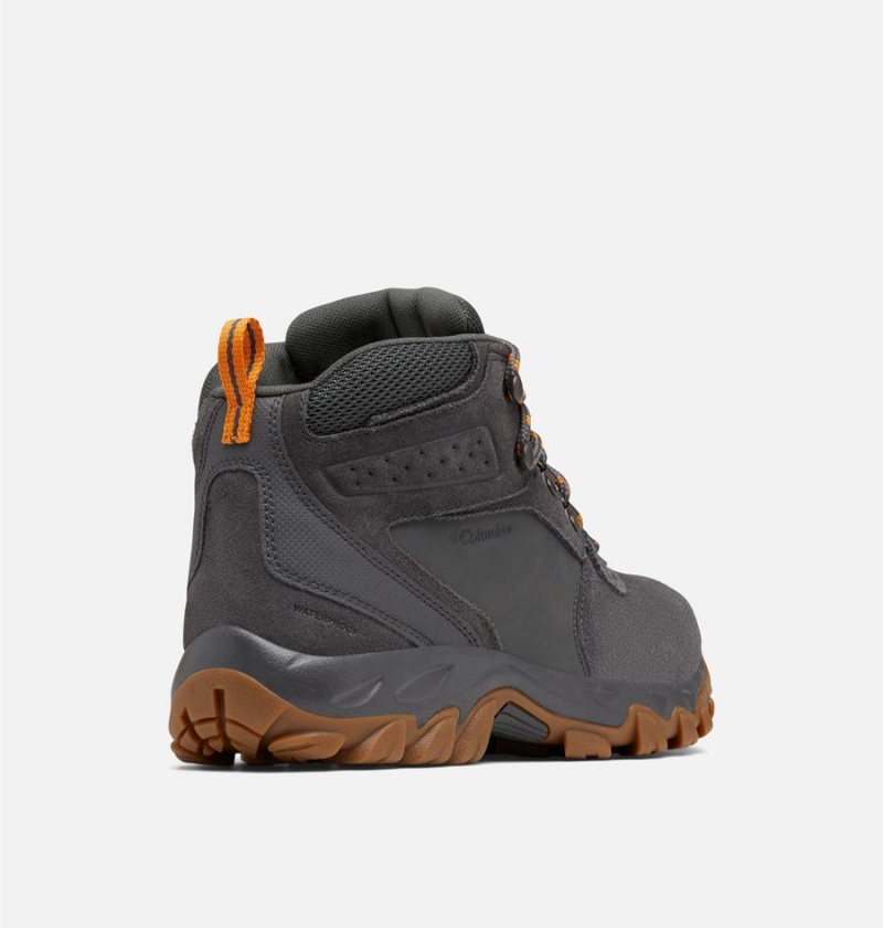 Columbia Newton Ridge Plus II Suede Waterproof Boot Men's Hiking Shoes Grey | XKVQGI-304