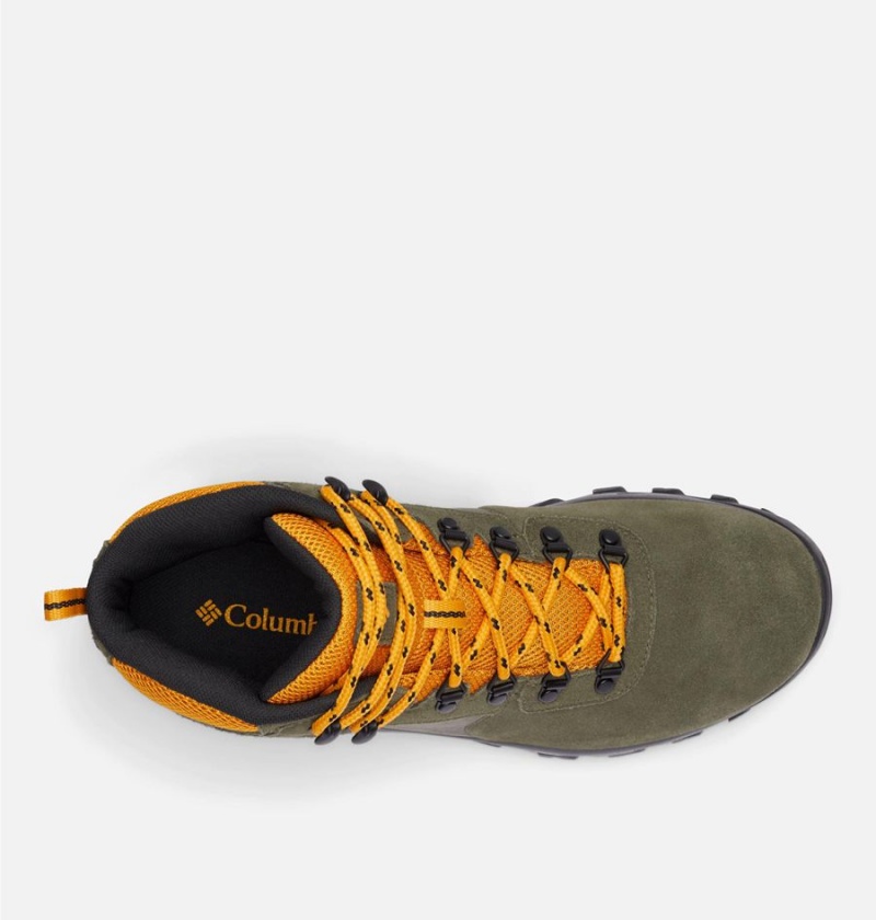 Columbia Newton Ridge Plus II Suede Waterproof Boot Men's Hiking Shoes Olive | LTMXZR-702