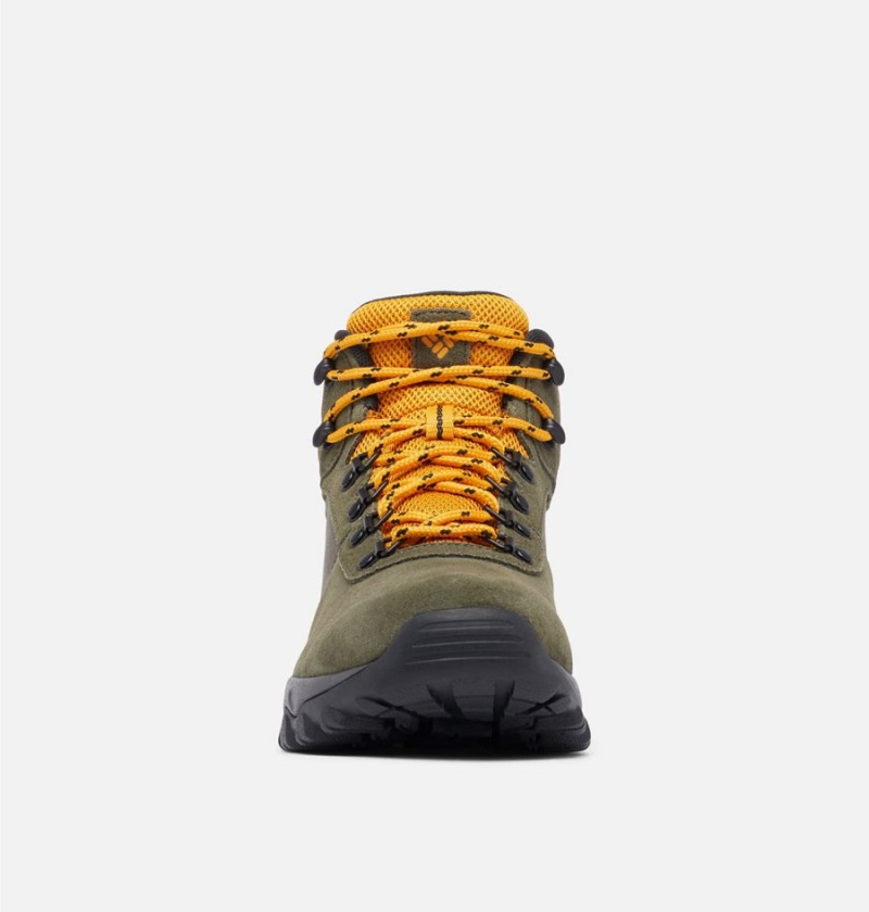 Columbia Newton Ridge Plus II Suede Waterproof Boot Men's Hiking Shoes Olive | LTMXZR-702